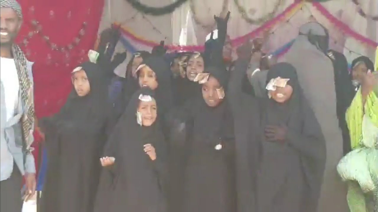 Nashida Afaan Oromo Haareyaa Youtube