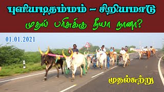 01.01.2021 சிவகங்கை மாவட்டம் புலியடிதம்மம் சிறிய மாடு முதல் சுற்று