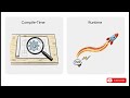Episode 12 - Polymorphism in Java Explained Simply | Runtime vs Compile-Time