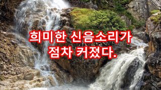 실화사연 - 부모없는 조카 아들처럼 키웠더니 그만 조카의 인생에서 빠지라는 사돈 우리가 키운값을 달라고 했다고? 너따위가 우리를 이간질해? 돈? 그거 있어도그만, 없어도 그만이야!