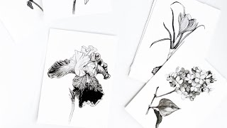 31 flower paintings art tour · Ink drawings showcase · black and white flowers by Anna Farba