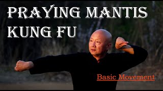 Kung Fu training at home 2020: Shaolin Praying Mantis Kung Fu Training for beginners