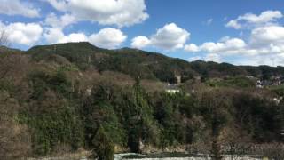 長野県上伊那郡中川村　坂戸橋の桜