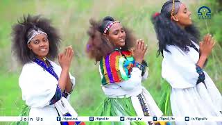 ክብርታት ኣሸንዳ ምዕቃብን ምኽባርን ስረት ሕውየት ደቂ ኣንስትዮ  ትግራይ  ኢሉ እውን ባህሊን መንነትን ህዝቢ ትግራይ ነሕውየሉ ክኸውን ይግባእ ።