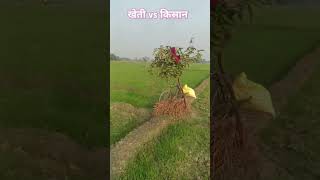 kheti vs kisan #agriculture #kisan #krishi #kheti #khetibadi #fasalkranti #dhan #gehu #jwar #shorts