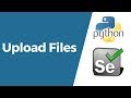 Selenium with Python Tutorial 21- How to upload Files