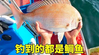 釣魚前先做個法事祝我爆箱，魚竿沾水就有魚兒上岸，滿箱鯛魚外加一個神秘魚！