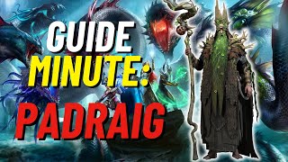 PADRAIG DETRUIT LE PVE!! [RAID SHADOW LEGENDS]