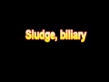 What Is The Definition Of Sludge, biliary Medical School Terminology Dictionary