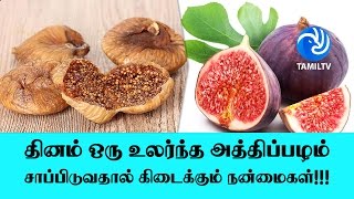 தினம் ஒரு உலர்ந்த அத்திப்பழம் சாப்பிடுவதால் கிடைக்கும் நன்மைகள்!!! - Tamil TV