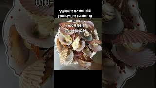 [똑손팔도푸드]당일채취 햇 홍가리비 1kg  30미 내외