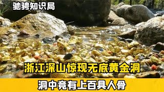 浙江神秘黃金洞揭秘：百具人骨背后的真相，炸山行動揭開十年謎團 #動物