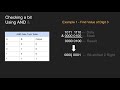 Bitwise Operations & Bit Masking