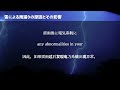 雷による雨漏りの原因とその影響 causes and impacts of roof leaks during thunderstorms 雷雨引发漏水的原因及影响