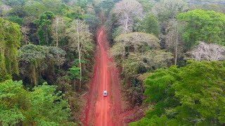 ALPI forests in Cameroon obtain FSC® (FSC-C129174) certification – Short version