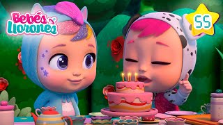 Hoy es el Cumpleaños de Dotty 🎂 BEBÉS LLORONES 💕 Lágrimas Mágicas 💧 Capítulos DIBUJOS para NIÑOS