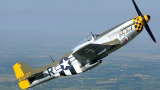 堪称二战活塞式战斗机的代表，被誉为历史第一战机的野马战斗机P-51 Mustang Fighter