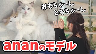 【山岸愛梨】愛猫おもちさんがananに掲載され愛猫の肩書がモデルになったと喜ぶあいりん【ウェザーニュース切り抜き】