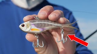 Soft Vibration Bait catches everything?! Winter Inshore Florida fishing | Nomad Vertrex Vibes