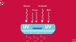 UV Filtration Video