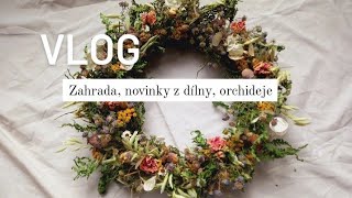 Honzík Lací - Vlog: Orchideje, zahrada, dílna