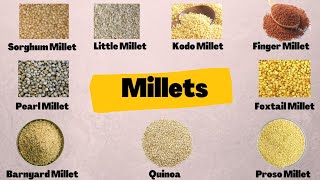 Millets | Millets Names in Tamil \u0026 English | English Tamil Dictionary | Millets Types | தினை வகைகள்