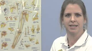 Shoulder Pain Advice: iTrust NHS Physiotherapy from Ipswich Hospital