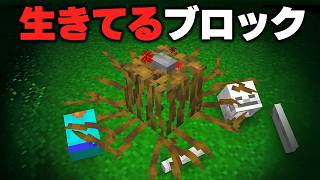 謎が多すぎるマイクラ都市伝説をすべて検証してみた結果【まいくら/マインクラフト】