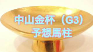 中山金杯（G3）　予想馬柱