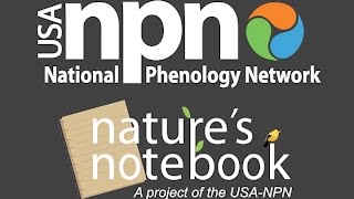 Engaging Volunteers in the Nature's Notebook Citizen Science Program
