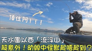 香港釣魚2023︱頂住阿！意外流浮山竟然有怪獸！超幼絲同大魚過招 起唔起到呢？