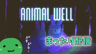 【最終回／ネタバレあり】 ANIMAL WELL まったり配信 #06【PS5】