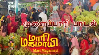 Mari Magamaayie Amma song | மேல வேலாயுதபுரம் | முளைப்பாரி பாடல்