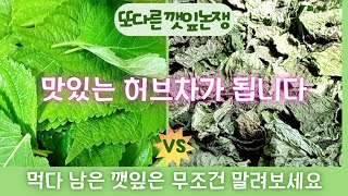 먹고 남은 깻잎은 다시 냉장고에 넣지마세요 물러지기 전에 얼른 말려보세요 /깻잎차 만들기