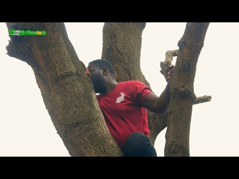Skit : Naijas Craziest Comedy - Still Hiding On Top A Tree To Avoid Arrest