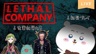 【Lethal Company】シロクマ、バイト始めました。#春無ギャピ