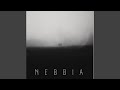 Nebbia