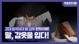 [박물관친구들] 말 갑옷의 역사를 한눈에 볼 수 있는 특별한 전시!