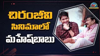 Mahesh Babu To Replace Ram Charan In Chiranjeevi’s Next Movie? | NTV Entertainment