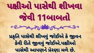 પ્રકૃતિ પાસેથી જીવન જીવતાં શીખવું જોઈએ જેથી જીવનમાં ક્યારેય દુઃખી નહીં થાઓ| lessonable story | પક્ષી