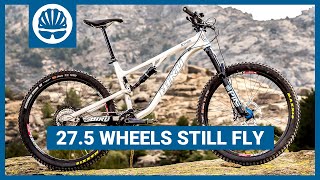 Bird Aether 7 Review | Can 27.5 Wheels Still Fly? | 3rd Place Trail Bike of The Year