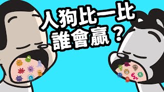 狗與鹿｜人跟狗比一比，沒想到人類弱爆？｜聽說狗比人乾淨？愛彼主人還多？來看看你贏了幾個