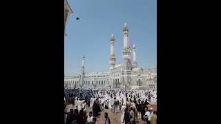 2k24 #hajj2024 #madina #madinah #pakistan #saudiarabia #shortvideo #shorts makkah live madina naat