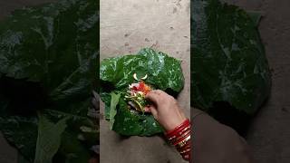 ଏମିତି ସବୁ ଓଡ଼ିଆ ଙ୍କ ପ୍ରିୟ ପତ୍ର ପୋଡ଼ା 💯👌|| How To Make fish leaf roast || Odia new recipe #recipe