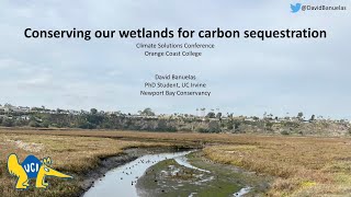 Conserving our Wetlands for Carbon Sequestration by David Banuelas