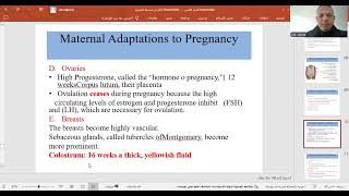 maternal adaptationto pregnancy