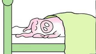 Sandra Boynton’s WHEN PIGS FLY Ryan Adams