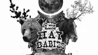 Les Hay Babies - La Bear Song