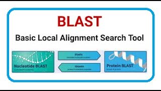 Basic local alignment search tools (BLAST) | 2024