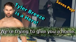 WWE NXT Superstar Tyler Breeze saves a Stray Lost Dog from the Streets! Rescued! (Emotional)